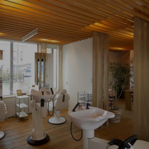 sp_image1